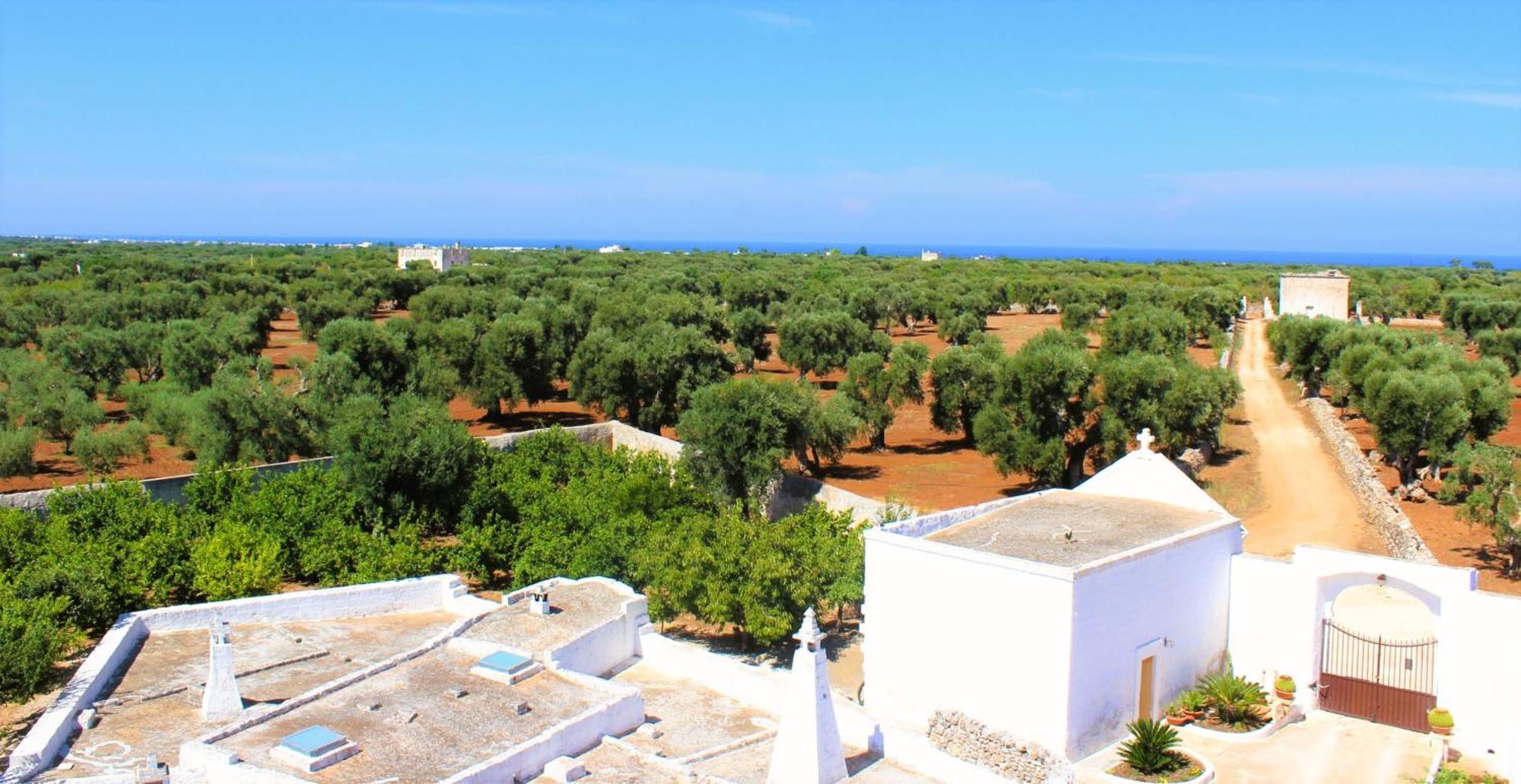 Masseria Mammella Aparthotel โมโนโปลี ภายนอก รูปภาพ