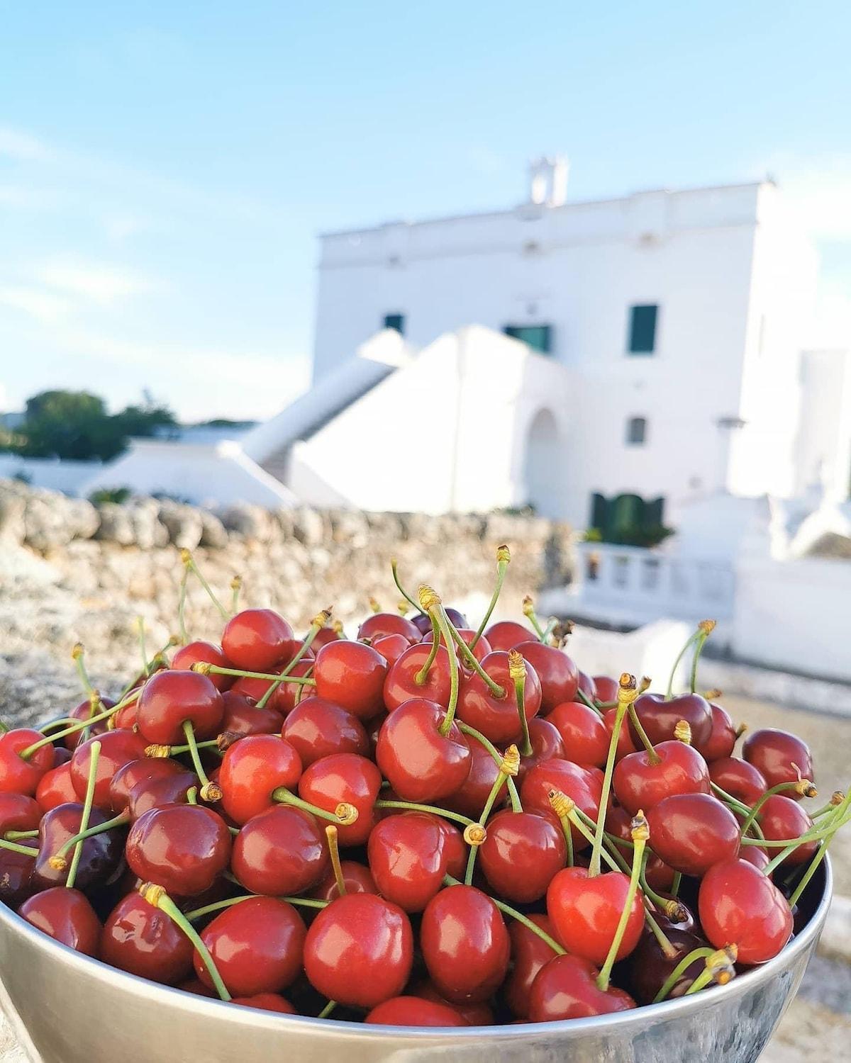 Masseria Mammella Aparthotel โมโนโปลี ภายนอก รูปภาพ